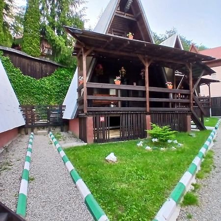 Chalet A Frame Sinaia 시나이아 외부 사진