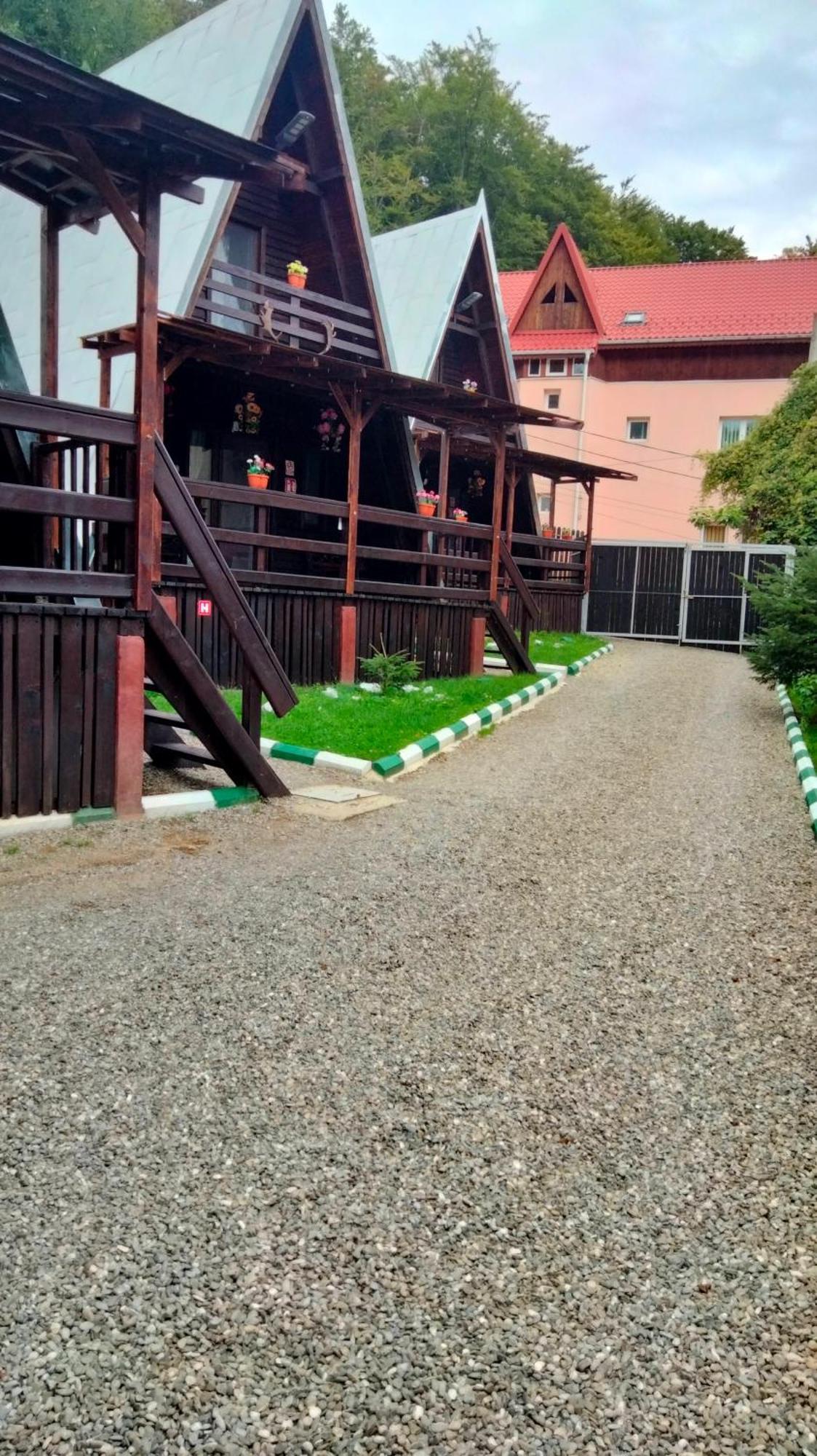 Chalet A Frame Sinaia 시나이아 객실 사진